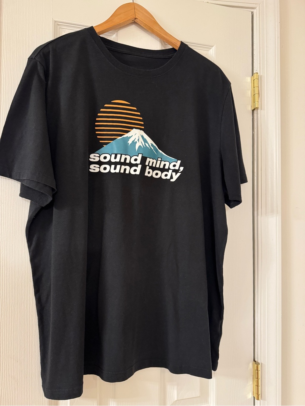 ASICS SMSB Journey Graphic T-Shirt Sound Mind Sound Body Mt Fuji Black Men's XL